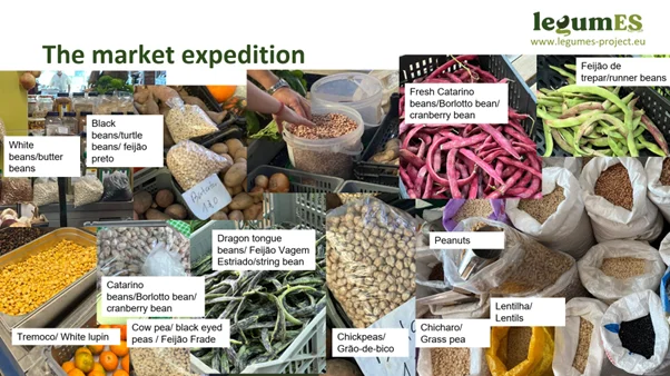 From Classrooms to Kitchens